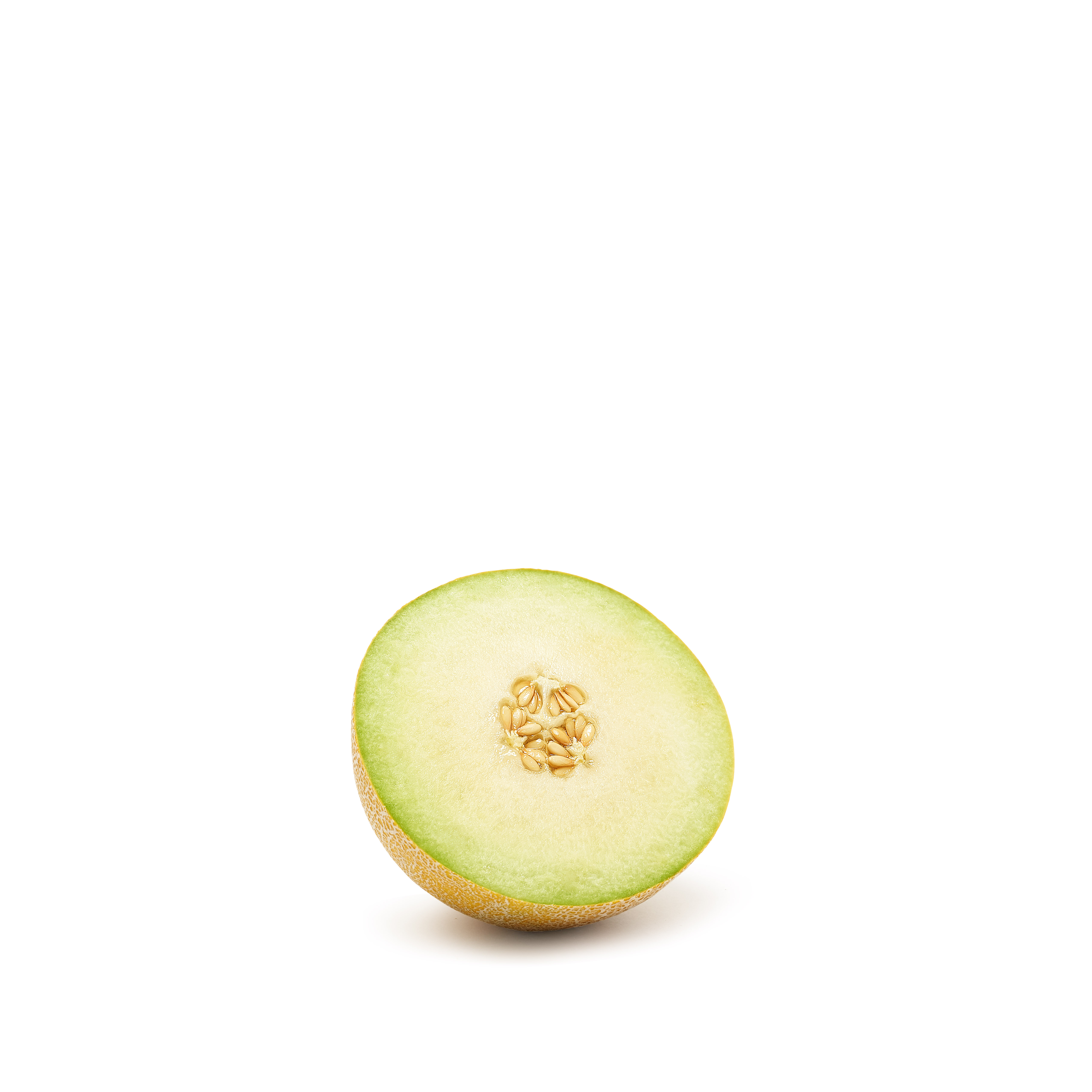 Galia Melon